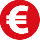 Euro Icon